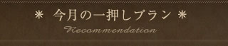 今月の一押しプラン