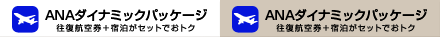 ANA楽パック